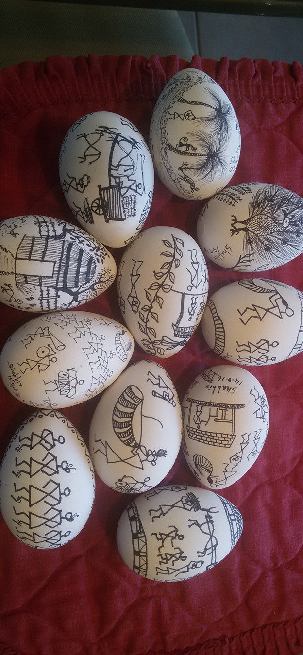 Egg Shells